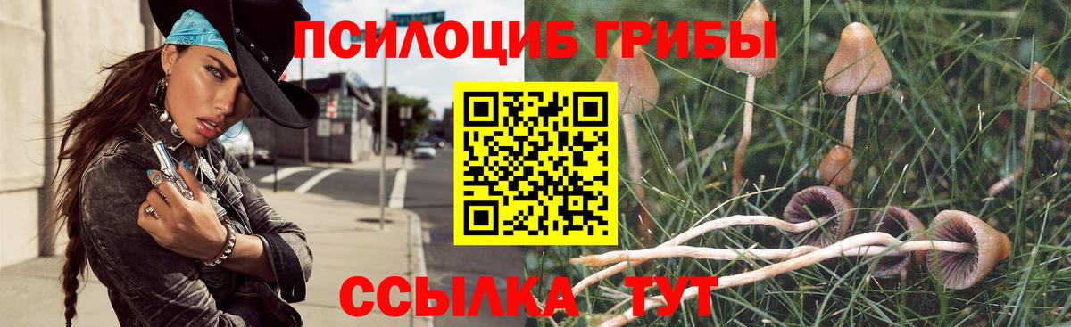 Сатка  магазин  наркотиков  Вход с VPN  Галлюциногенные грибы Cubensis 